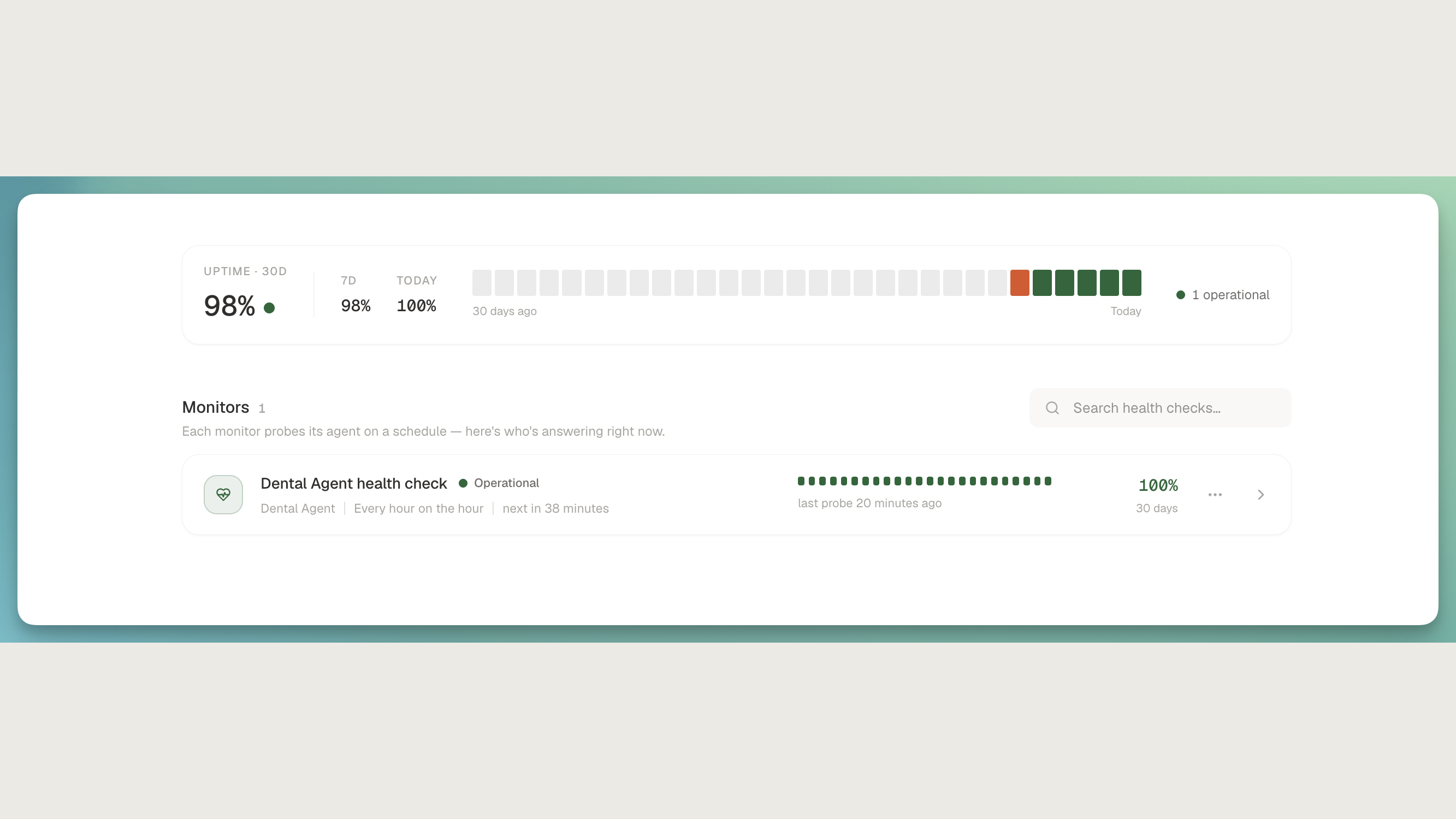 Health checks page with status cards and 24-hour probe history
